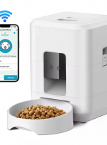 Screenshot 2024-08-28 161705